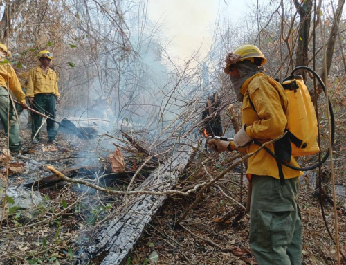 EL PRESIDENTE ARCE AFIRMA QUE SE EXTREMAN ESFUERZOS PARA SOFOCAR HASTA EL ÚLTIMO INCENDIO FORESTAL EN EL PAÍS