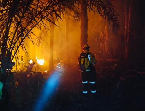 Información sobre afectación de incendios de Fundación Tierra no es válida y podría tener fines políticos