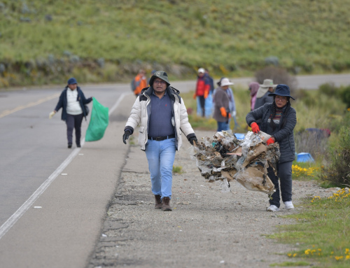 LIMPIEZA DEL LAGO TITICACA: UN LLAMADO A LA ACCIÓN COMUNITARIA Y AL CUIDADO DEL MEDIO AMBIENTE